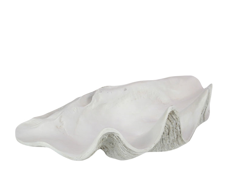 Giant Clam Decor