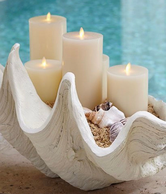 Giant Clam Decor