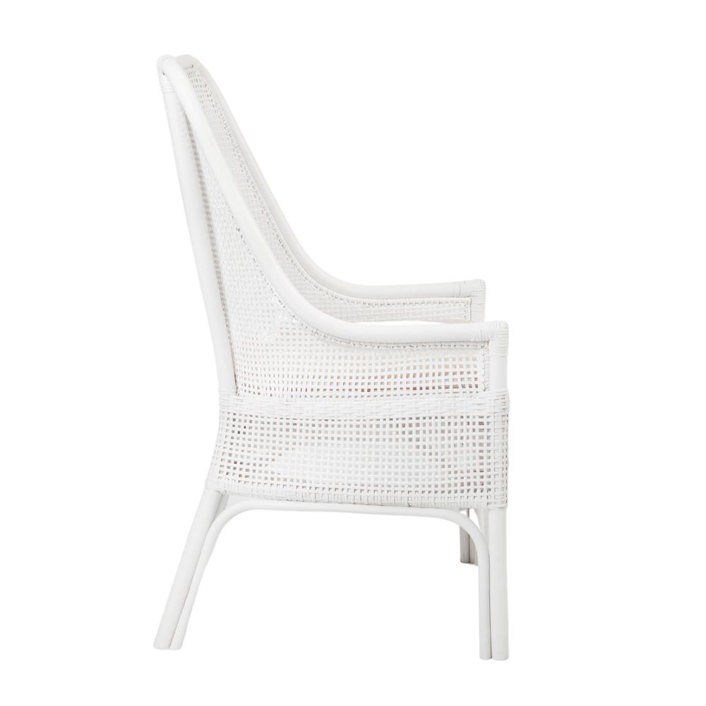 Banyan Chair