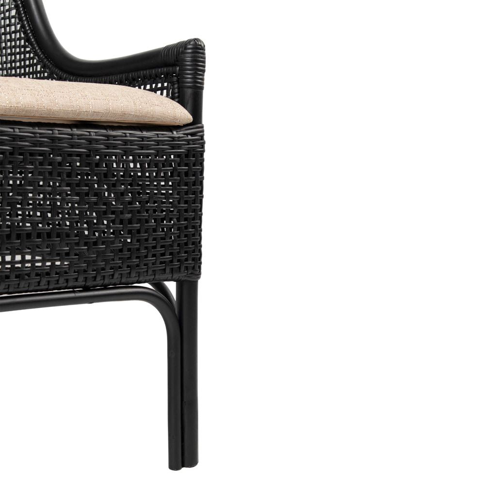 Banyan Chair
