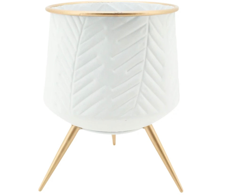 Kesh Planter