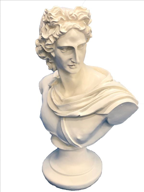 Lady Jayne Bust