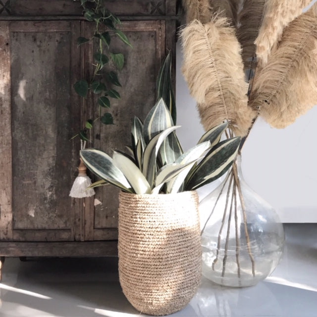 Shags Fiber Leaf - Set of 3 sizes