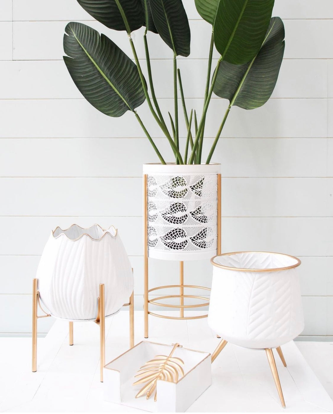 Kesh Planter
