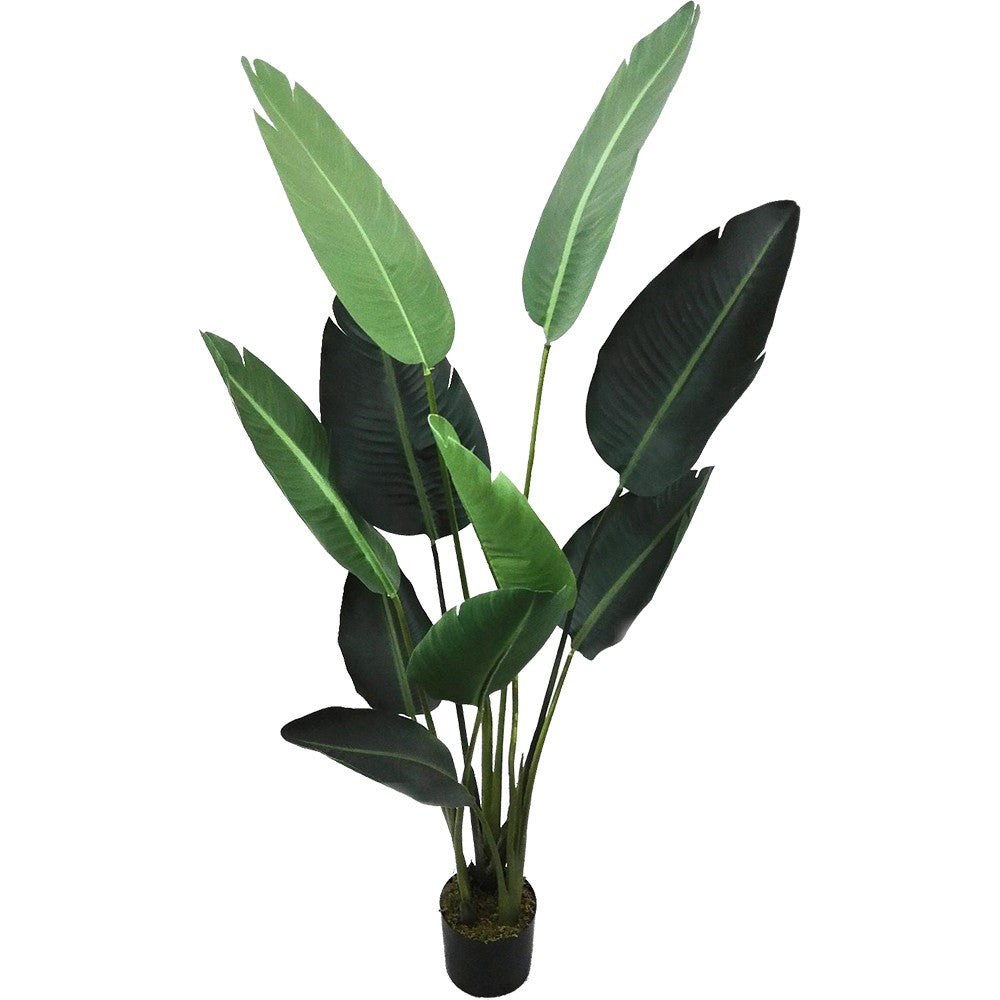 Paradiso Faux Plant