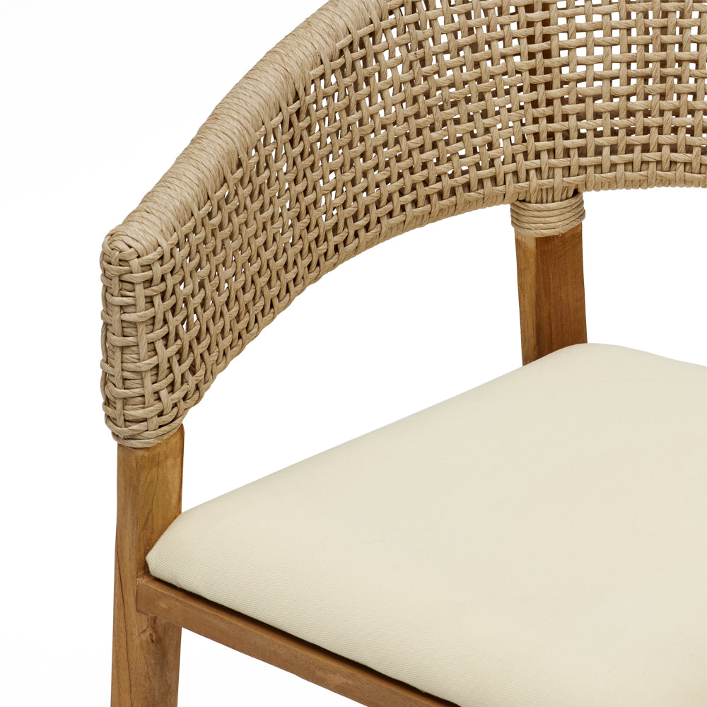 Papaya Dining Chair