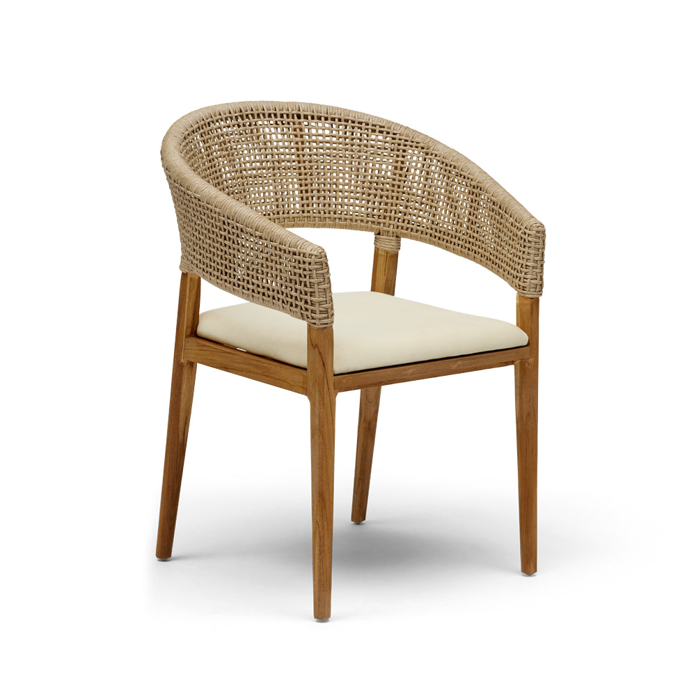 Papaya Dining Chair