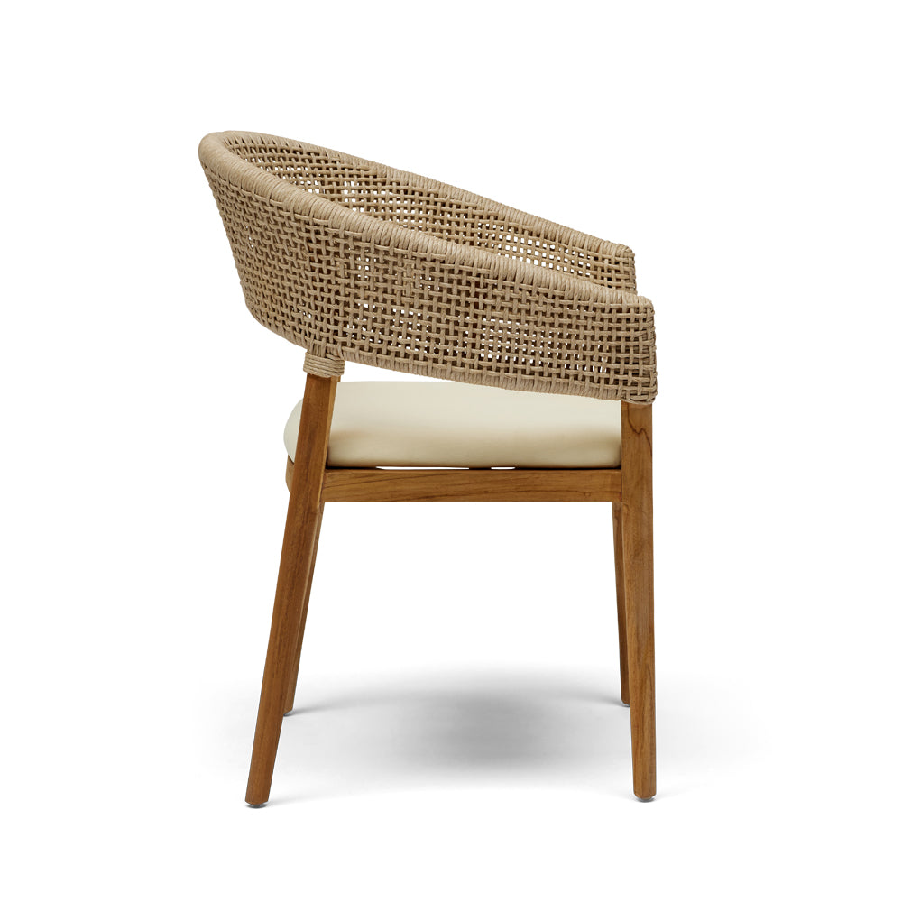 Papaya Dining Chair