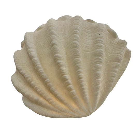 Clam Shell Lamp