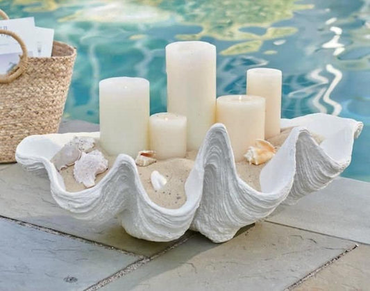 Giant Clam Decor