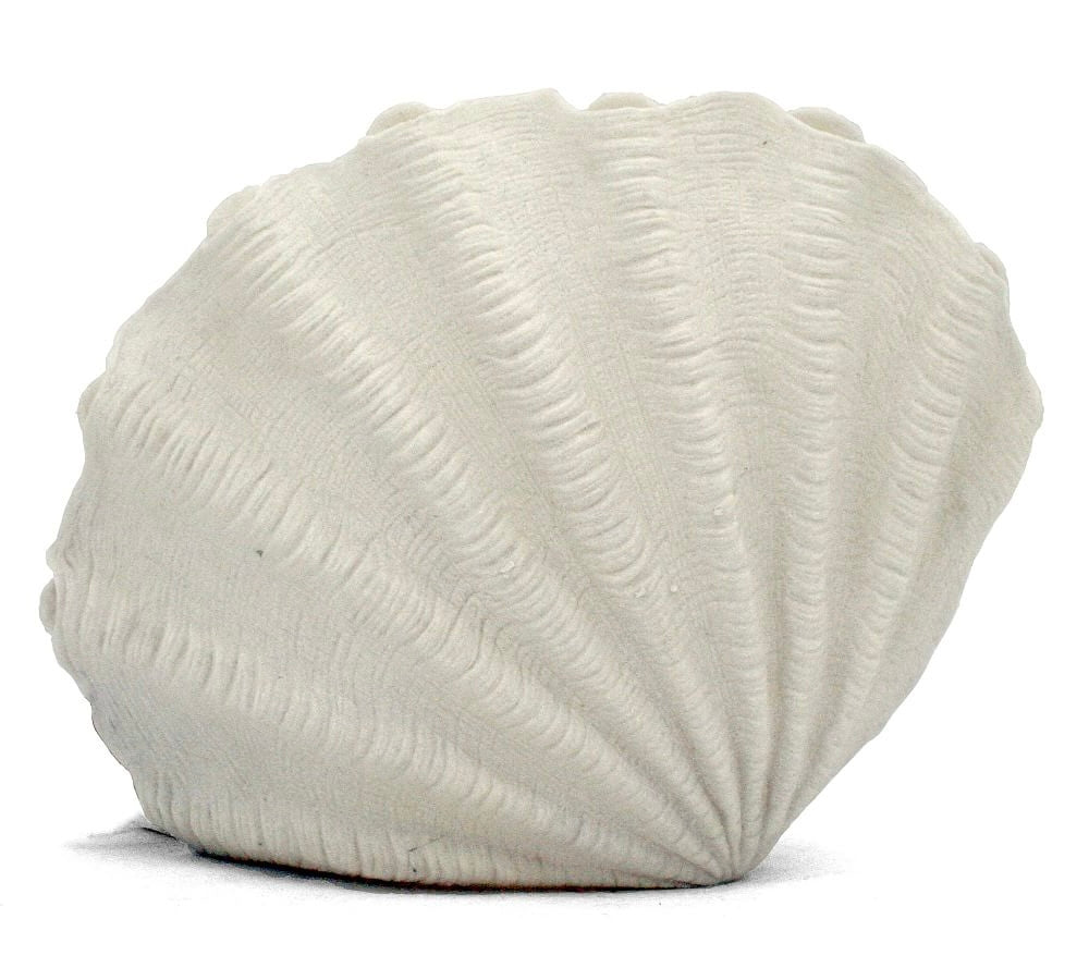 Clam Shell Lamp