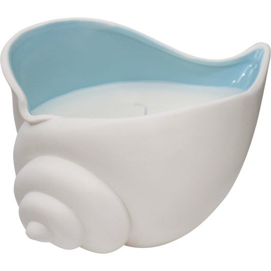 Shell Candle