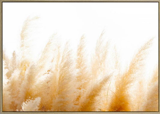 Sea Breeze Pampas framed canvas