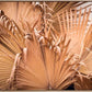 Desert Palms Canvas