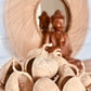Buddha Nut