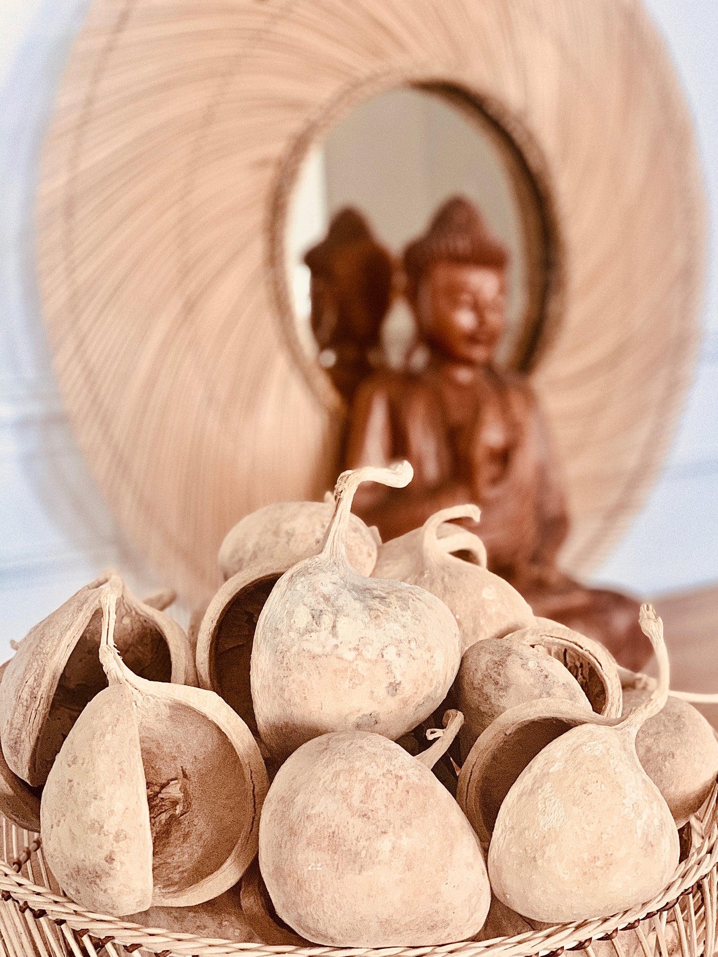 Buddha Nut
