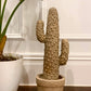 Sahara Cactus