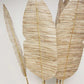 Boho Banana Leaf - Life Size Stem