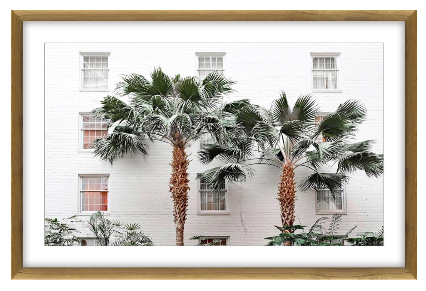 Resort Palm Glass Framed Art