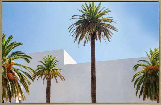 White Casa Palms Canvas