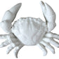 Seb Crab