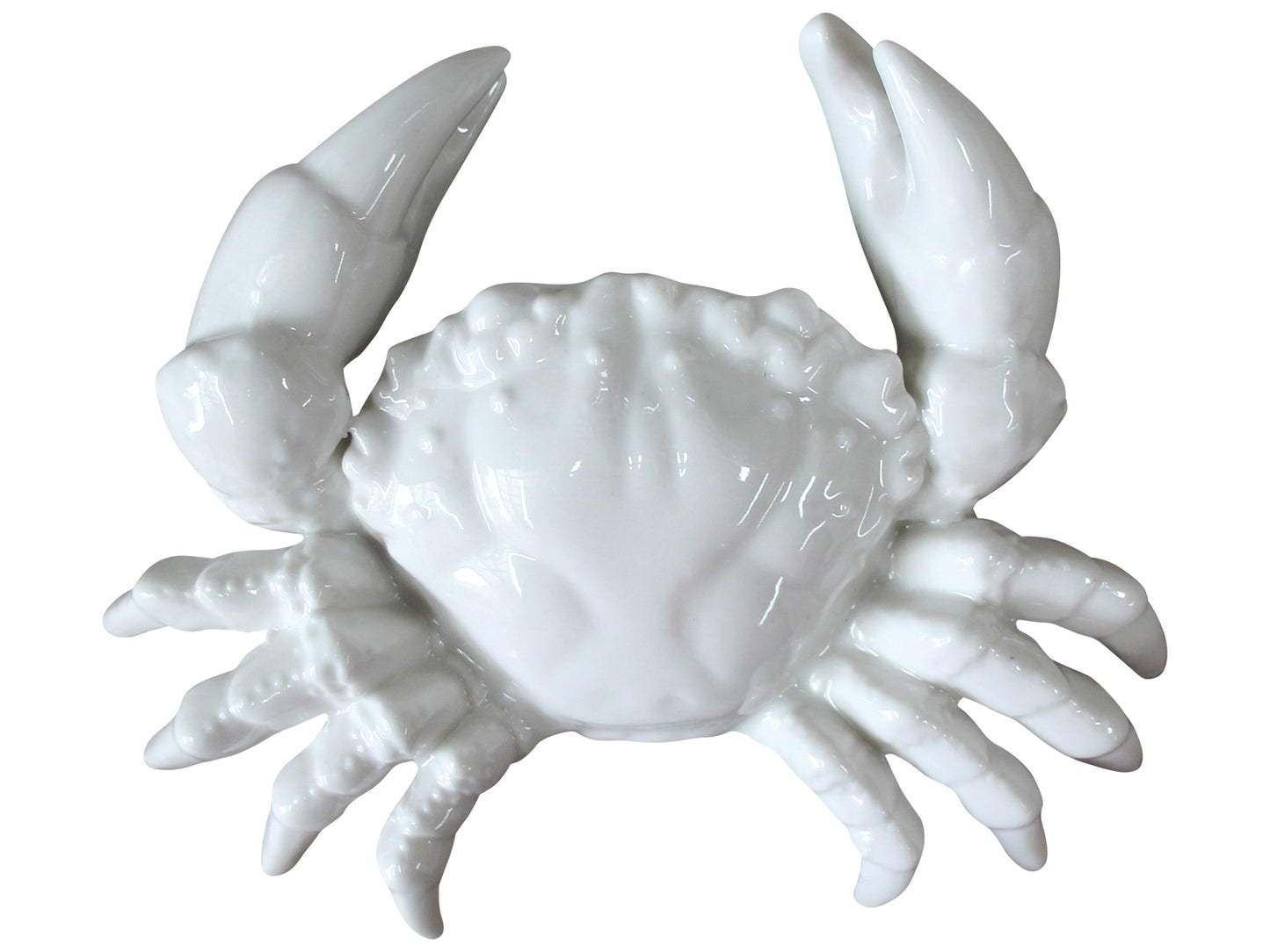 Seb Crab