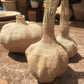 Garlic Gourd Bulawayo Basket