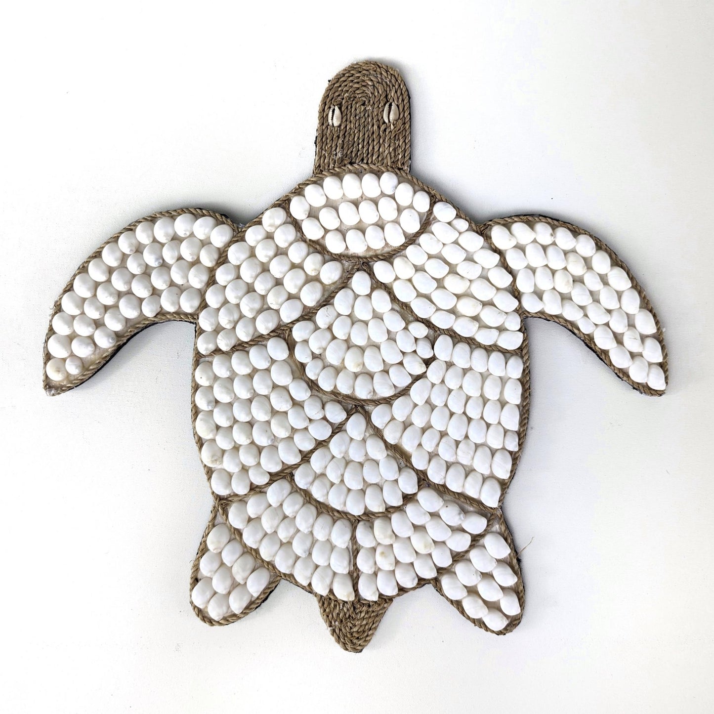 Shelley The Turtle Wall decor