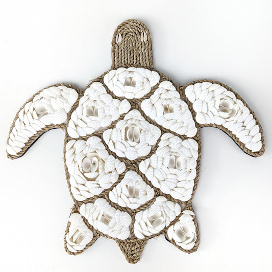 Shelley The Turtle Wall decor