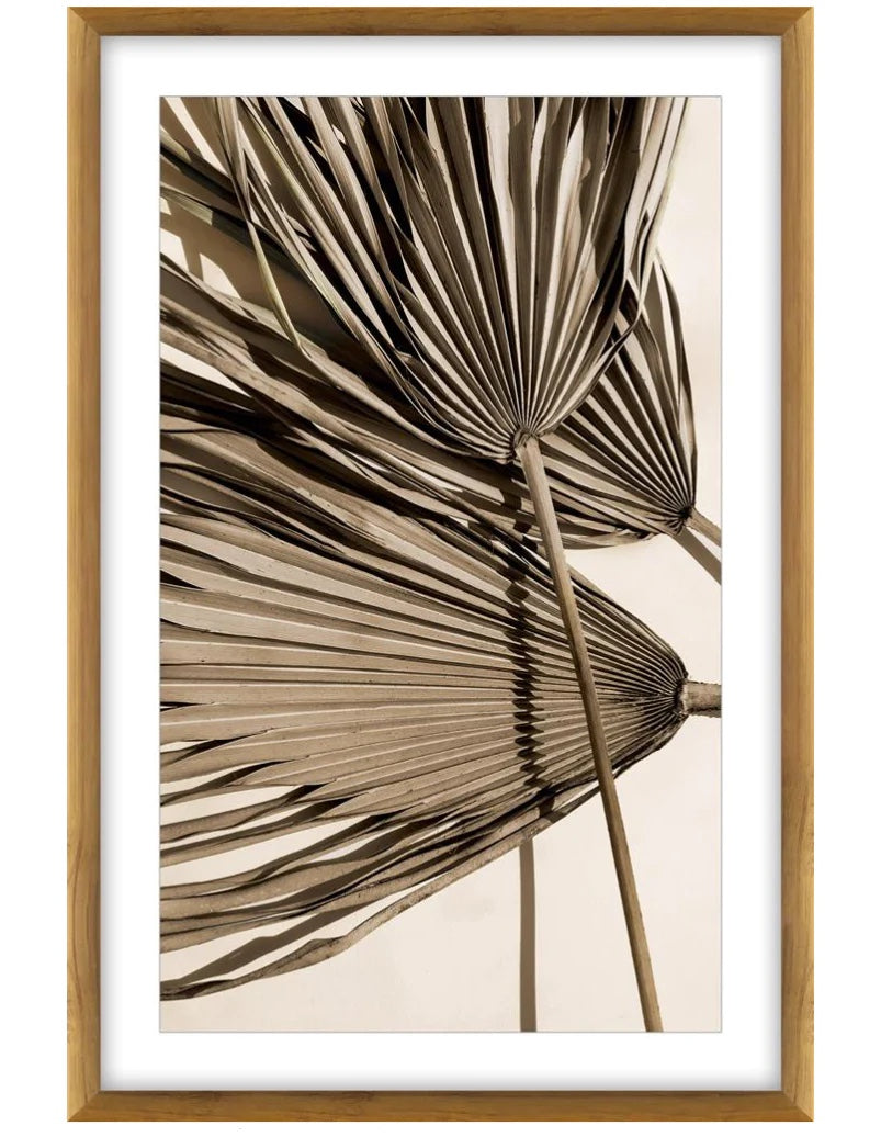 Dried Palm Glass Framed Art