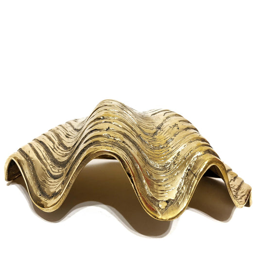 Large Brass Clam Shell