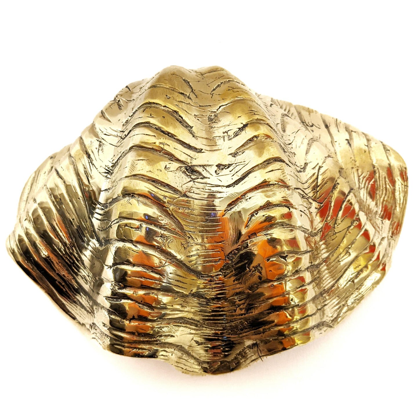 Large Brass Clam Shell